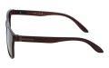 Revers polarized 52-2 bok.jpg