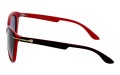 Polarzone 560-8 bok.jpg