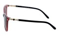 Polarzone 720-6 bok.jpg