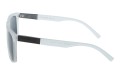 Polarzone 1110-3 bok.jpg