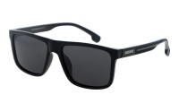 PolarZone 1105-1 z etui