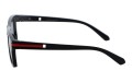 Revers polarized 54-1 bok.jpg