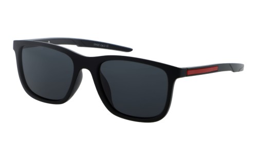 Revers polarized 55-1 skos.jpg