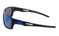Revers polarized 60-10 bok.jpg