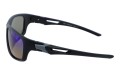 Revers polarized 60-11 bok.jpg