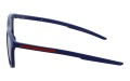 Revers polarized 55-10 bok.jpg