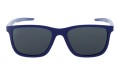 Revers polarized 55-10 przód.jpg