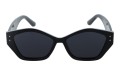 Revers polarized 230-1 przód.jpg