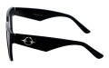 Revers polarized 231-1 bok.jpg