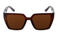 Revers polarized 231-2 przód.jpg