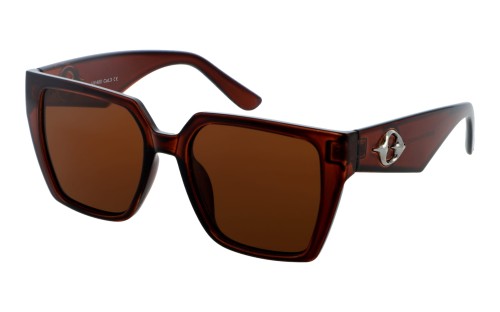 Revers polarized 231-2 skos.jpg
