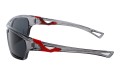 Revers polarized 57-8 bok.jpg