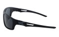 Revers polarized 59-3 bok.jpg