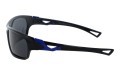 Revers polarized 57-10 bok.jpg