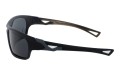 Revers polarized 57-3 bok.jpg