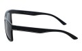 Revers polarized 56-1 bok.jpg