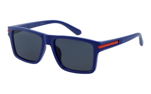 Revers polarized 54-10 skos.jpg