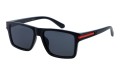 Revers polarized 54-1 skos.jpg