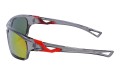 Revers polarized 58-8 bok.jpg