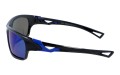 Revers polarized 58-10 bok.jpg