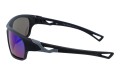Revers polarized 58-11 bok.jpg