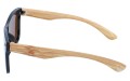 Revers polarized 06-2 bok.jpg