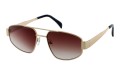 Cote Exclusive 212-2 skos.jpg