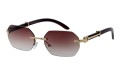 Cote Exclusive 209-2 skos.jpg