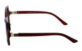Polarzone 1019-2 bok.jpg