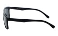 Revers polarized 12-1 bok.jpg