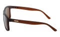Revers polarized 55-2 bok.jpg