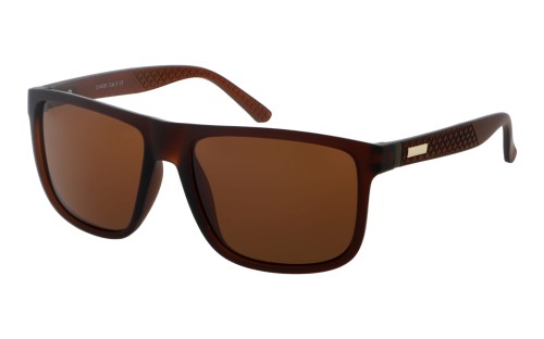 Revers polarized 55-2 skos.jpg