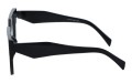 Revers polarized 229-1 bok.jpg