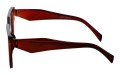 Revers polarized 229-2 bok.jpg