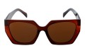 Revers polarized 229-2 przód.jpg