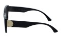 Revers polarized 233-1 bok.jpg