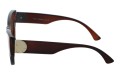 Revers polarized 233-2 bok.jpg