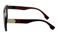 Revers polarized 235-2 bok.jpg