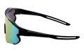 Dino junior 177-6 bok.jpg