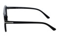 Revers polarized 51-1 bok.jpg