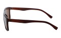 Revers polarized 12-2 bok.jpg