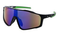 PolarZone 481-11 z etui