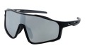 Polarzone 481-4 skos.jpg