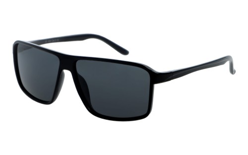Speed polarized 196-1 skos.jpg