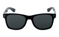 Revers polarized 03-1M przód.jpg