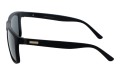 Revers polarized 55-1M bok.jpg