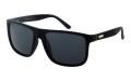 Revers polarized 55-1M skos.jpg