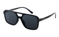 Revers polarized 54-1 skos.jpg