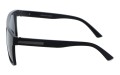 Revers polarized 61-1 bok.jpg
