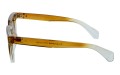 Polarzone 1077-3 bok.jpg